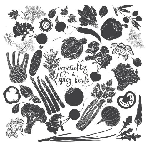Векторное изображение овощи и кулинарные травы, черные силуэты на белом
