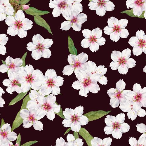 Растровое изображение цветущий миндаль, акварель на темном