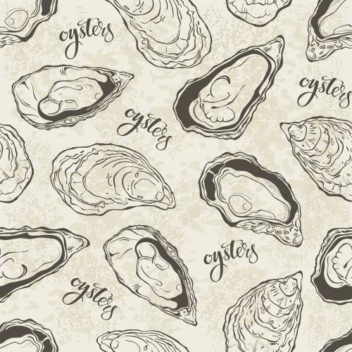 Устрица. Изображение устрицы, надпись oysters на фактурном светлом