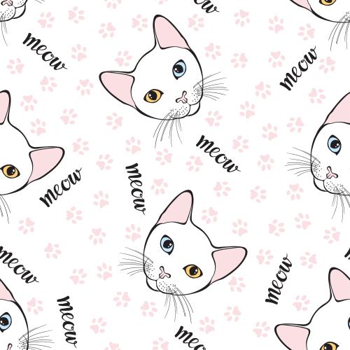 Као-мани кот. Вектор милые мордочки котиков породы као-мани, следы лапок и надписи meow на белом