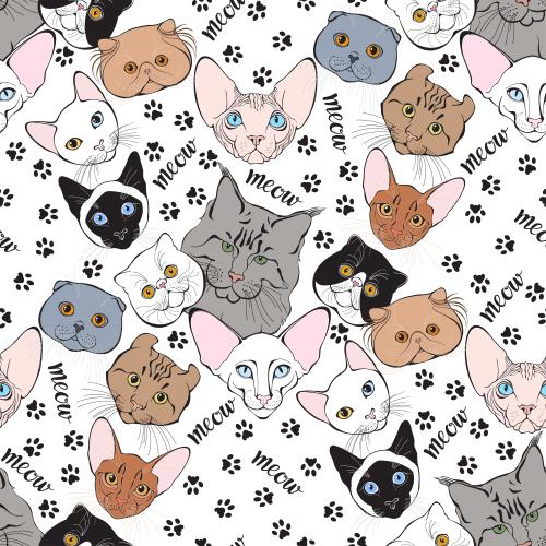 Абиссинский кот. Вектор мордочки котиков разных пород, следы лапок, надпись meow на белом