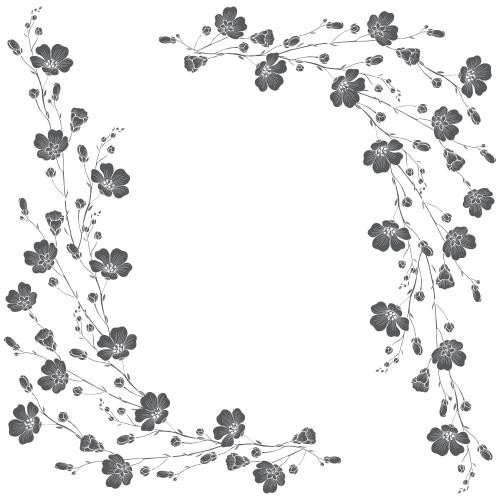 Лен. Вектор веточки цветущего льна, черные силуэты, место для текста на белом