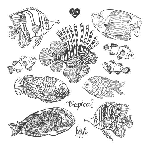 Векторное изображение тропические рыбки, десять черных контуров на белом