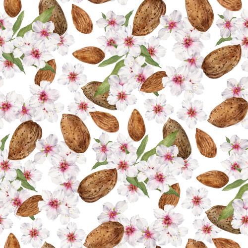 Растровое изображение акварельные цветы и орехи миндаля на белом