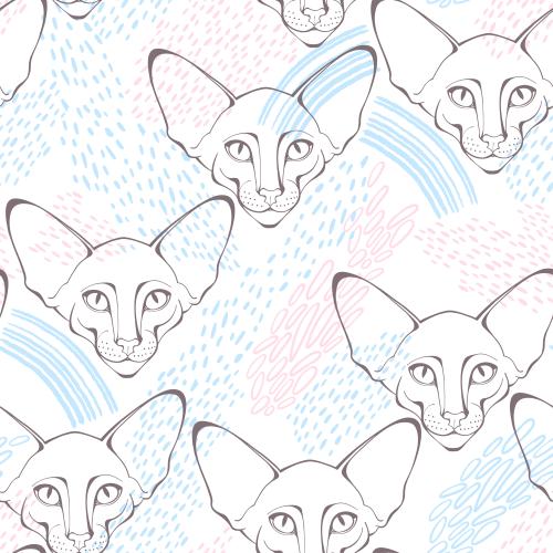 Кот ориентал. Вектор кот ориентал, милые мордочки, декоративные фрагменты на белом