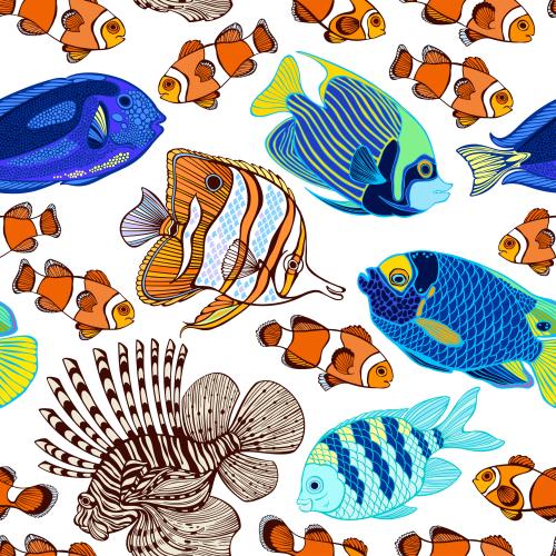 Изображение яркие тропические рыбки на белом