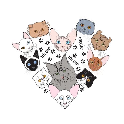 Абиссинский кот. Вектор мордочки котиков разных пород, следы лапок, надпись meow, композиция в форме сердца на белом