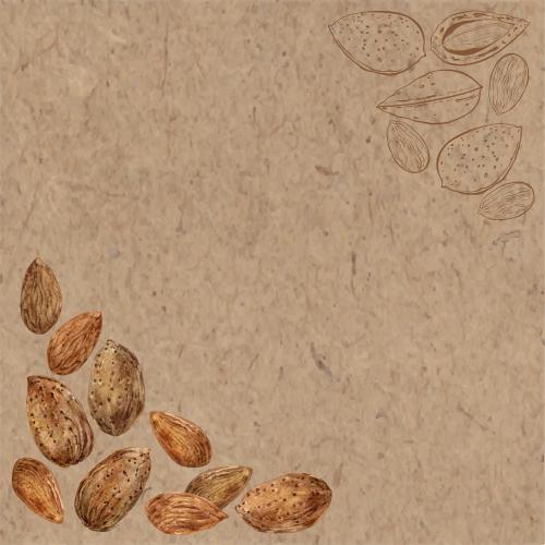 Орех. Иллюстрация миндаль, акварельные и графические орехи, угловая композиция с местом для текста на крафте