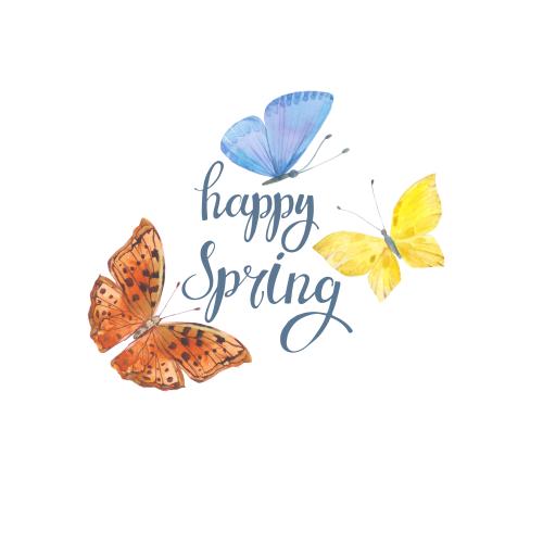 Растровое изображение три акварельные бабочки, надпись happy spring на белом