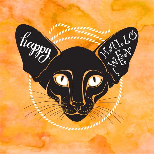 Хэллоуин. Вектор черный кот, круг из каната, надпись happy halloween на оранжевом акварельном
