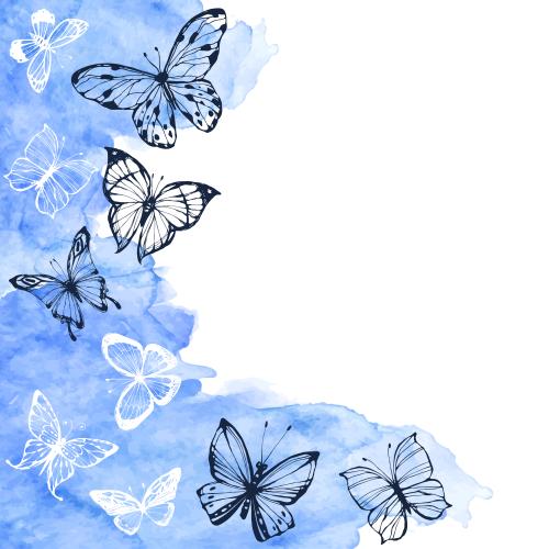 Изображение бабочки, синий акварельный фрагмент, место для текста на белом