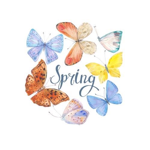 Растровое изображение акварельные бабочки, надпись spring на белом