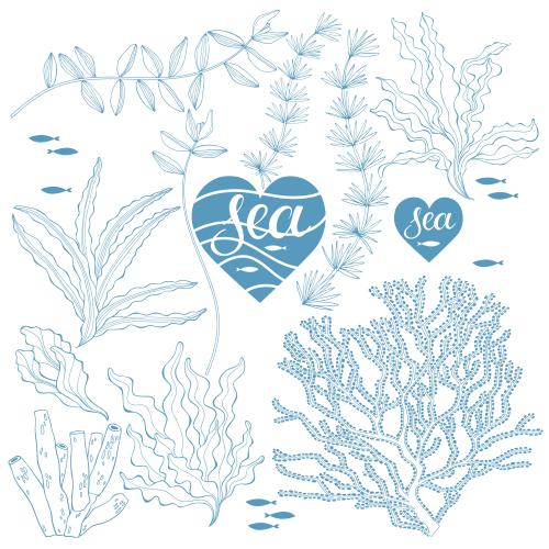 Коралл. Клипарт водоросли, кораллы, рыбки, сердечки с надписью sea на белом