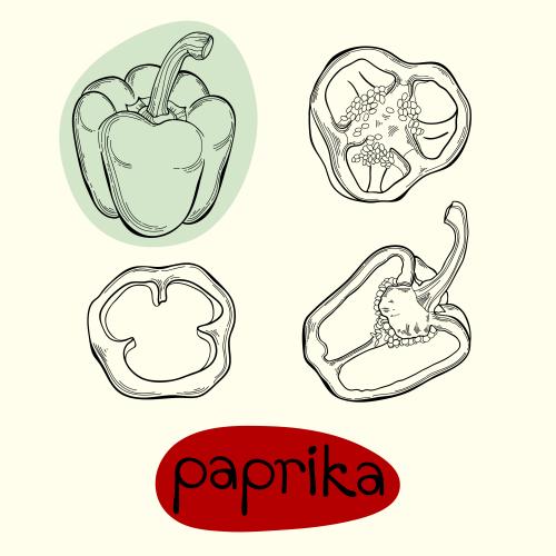 Перец. Изображение паприка, четыре изолированных элемента на светломи надпись paprika