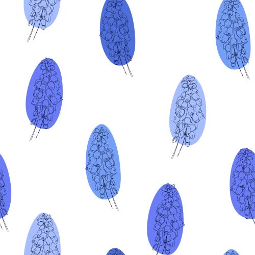 Мускари. Изображение мускари, цветы, цветные пятна на белом