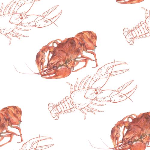 Растровое изображение вареные раки, акварельные и графические на белом