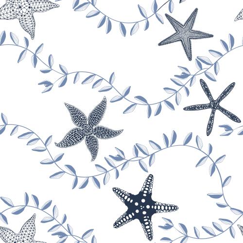 Векторное изображение морские звезды и водоросли на белом