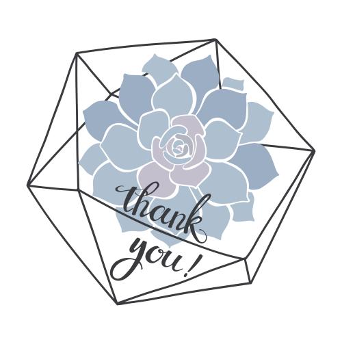 Суккулент. Изображение суккулент в флорариуме, надпись thank you на белом