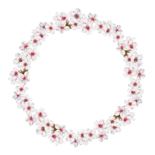 Растровое изображение цветущий миндаль, круглая акварельная рамка на белом