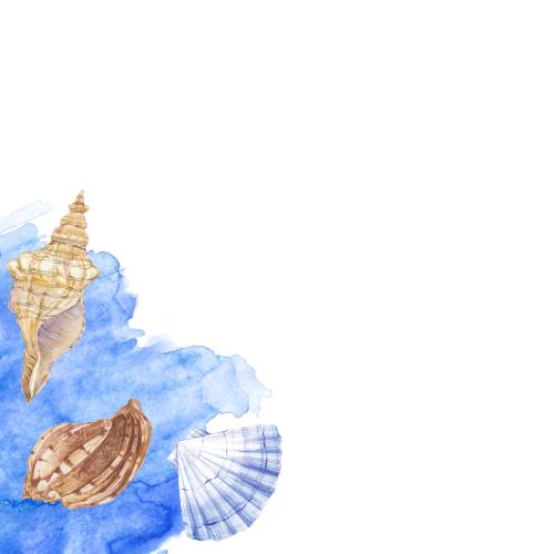 Растровое изображение акварельные ракушки, синий акварельный фрагмент, место для текста на белом