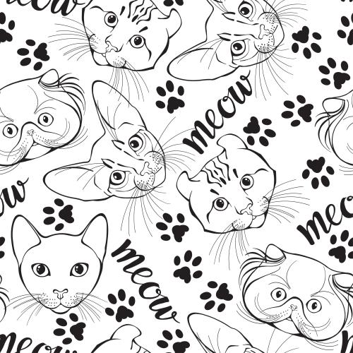 Абиссинский кот. Вектор мордочки котиков разных пород, следы лапок, надпись meow на белом