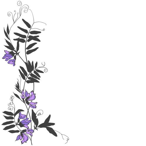 Векторное изображение полевые цветы, место для текста на белом