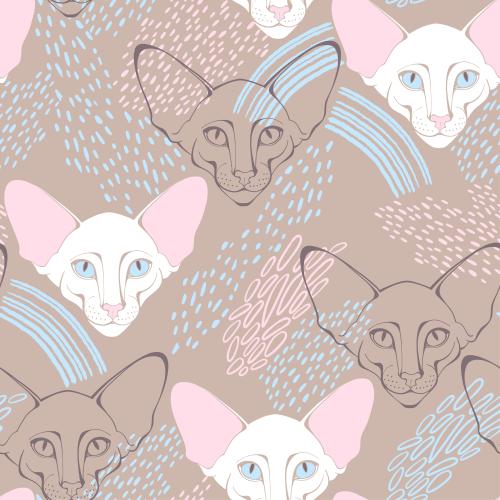 Кот ориентал. Вектор кот ориентал, милые мордочки, декоративные фрагменты на пастельном коричневом