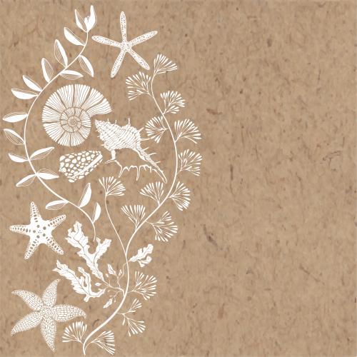 Векторное изображение композиция с ракушками, морскими звездами, подводными растениями и местом для текста на крафте