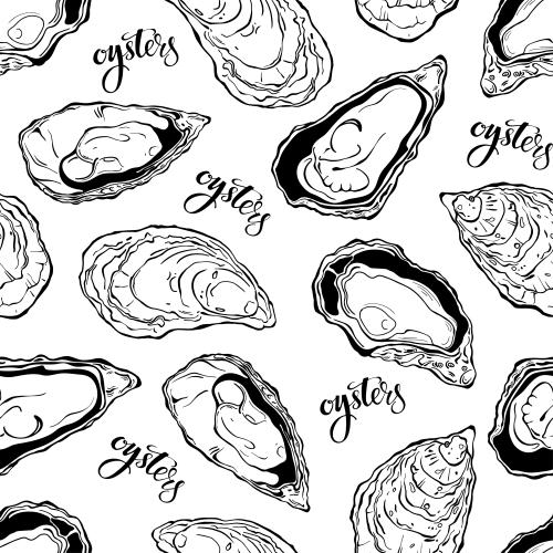 Устрица. Изображение устрицы, надпись oysters на белом