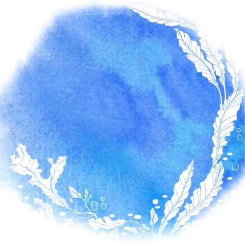 Водоросль. Вектор белые силуэты водорослей, синее акварельное, круглое пятно с местом для текста