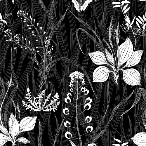 Пастушья сумка. Изображение подорожник, пастушья сумка, луговые травы и цветы на черном