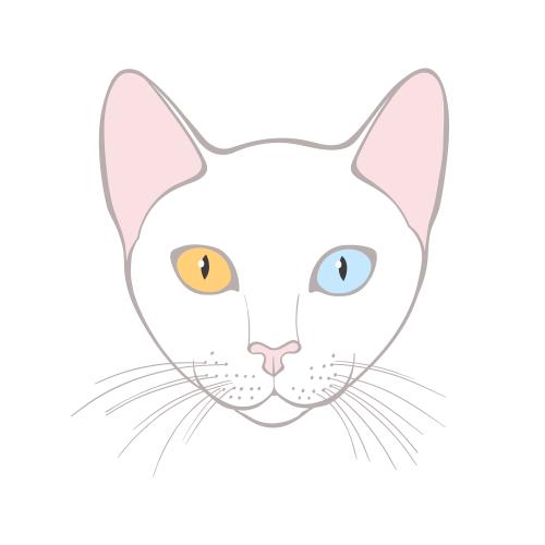 Као-мани кот. Вектор кот као-мани, милая мордочка на белом