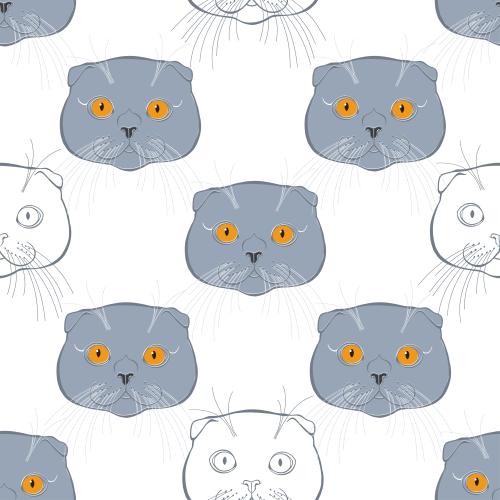 Шотландская вислоухая кошка. Вектор шотландские вислоухие котики, цветные милые мордочки на белом