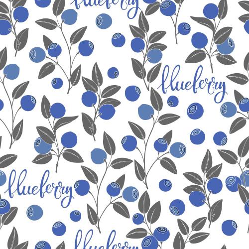 Черника. Изображение веточки черники с ягодами, надписи blueberry на белом
