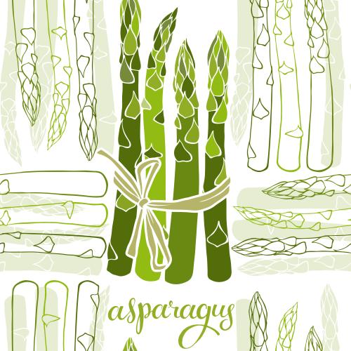 Спаржа. Изображение спаржа, контуры и силуэты, надпись asparagus на белом