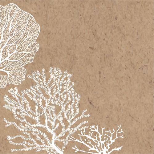 Изображение кораллы, место для текста на крафте