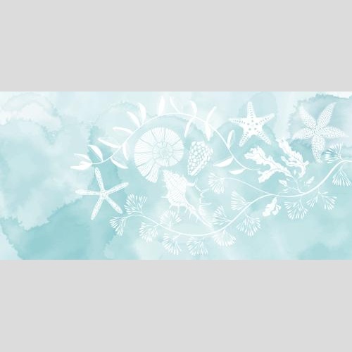 Векторное изображение композиция с ракушками, морскими звездами, подводными растениями и местом для текста на голубом акварельном