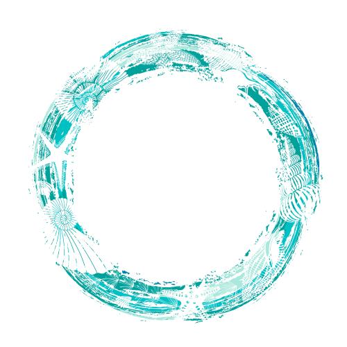 Векторное изображение круглая рамка с ракушками, морскими звездами и местом для текста на белом