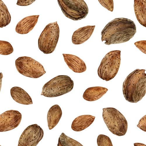 Миндаль. Вектор миндаль, орехи на белом