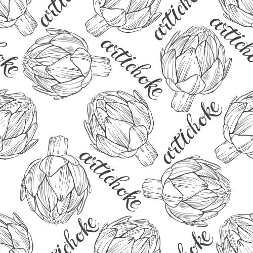 Артишок. Изображение артишоки, контуры и надписи artichoke на белом