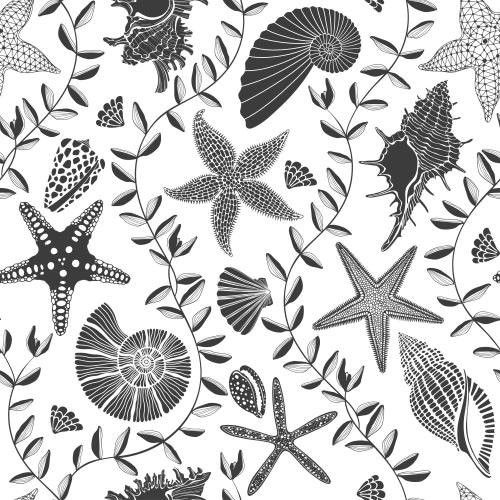 Векторное изображение морские звезды, ракушки и водоросли на белом