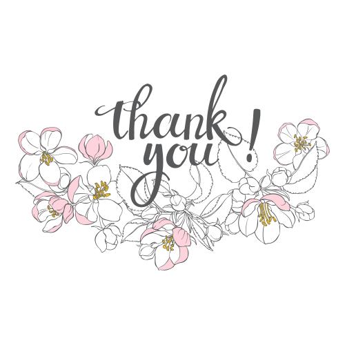 Яблоня. Изображение цветы яблони, надпись thank you на белом
