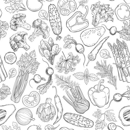 Векторное изображение овощи, черные контуры на белом