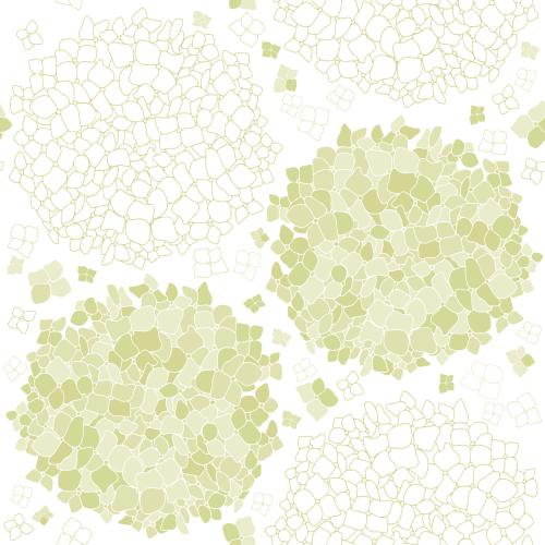 Гортензия. Изображение нежно-зеленые гортензии на белом