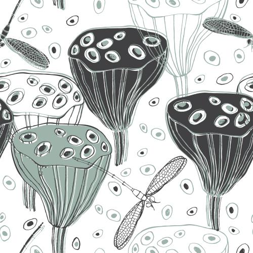 Стрекоза. Изображение коробочки лотоса, нелюмбо, контуры и силуэты, декоративные элементы, стрекозы на белом