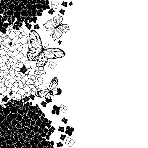 Гортензия. Изображение гортензии, контуры и силуэты, бабочки, место для текста на белом