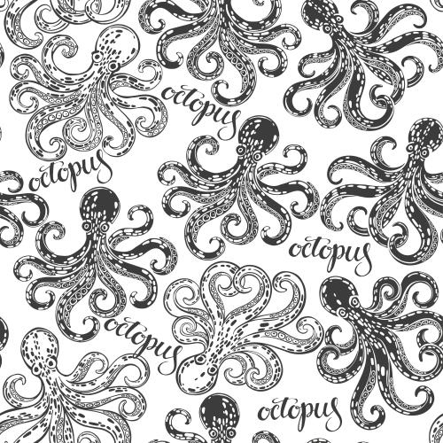 Векторное изображение осьминоги, черные силуэты, контуры и надписи octopus на белом