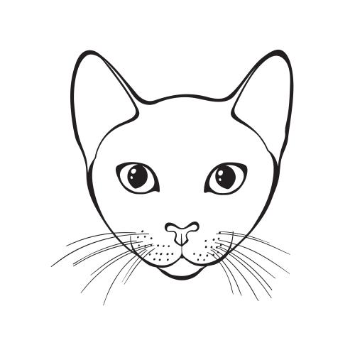 Кот. Клипарт милая кошачья мордочка на белом