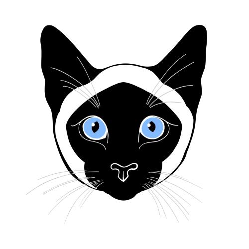 Сиамский кот. Вектор сиамский кот, цветная милая мордочка на белом