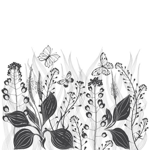 Пастушья сумка. Изображение луговые травы, цветы и бабочки, место для текста на белом